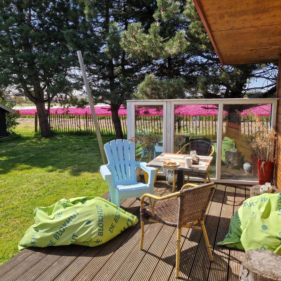 Vrijstaande Blokhut Villa Egmond-Binnen Luaran gambar