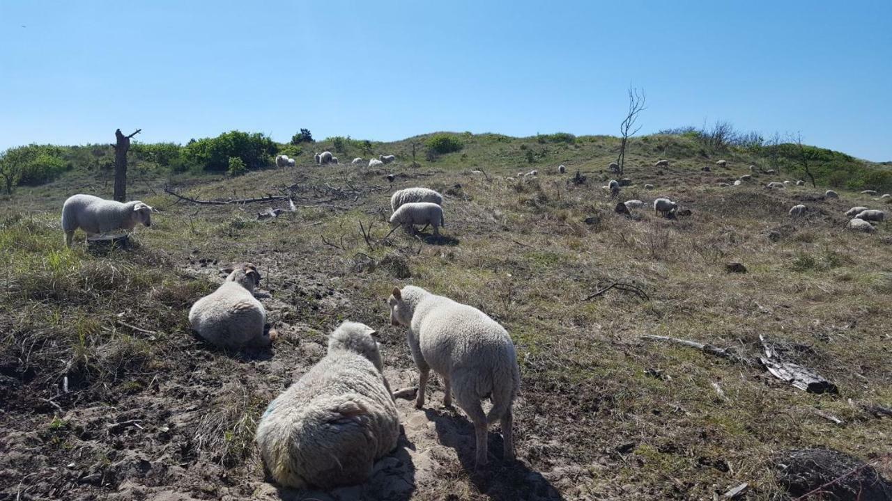 Vrijstaande Blokhut Villa Egmond-Binnen Luaran gambar