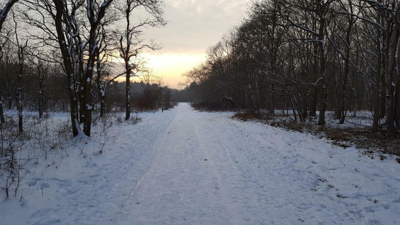 Vrijstaande Blokhut Villa Egmond-Binnen Luaran gambar